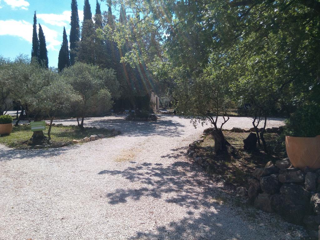 Gite Les Oliviers Cotignac Luaran gambar
